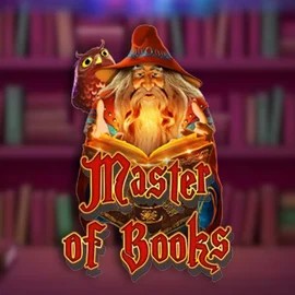 Try Master of Books slot by Swintt on staked.eu.com – logo image