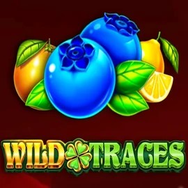 Try Wild Traces slot by Amusnet Interactive on staked.eu.com – logo image